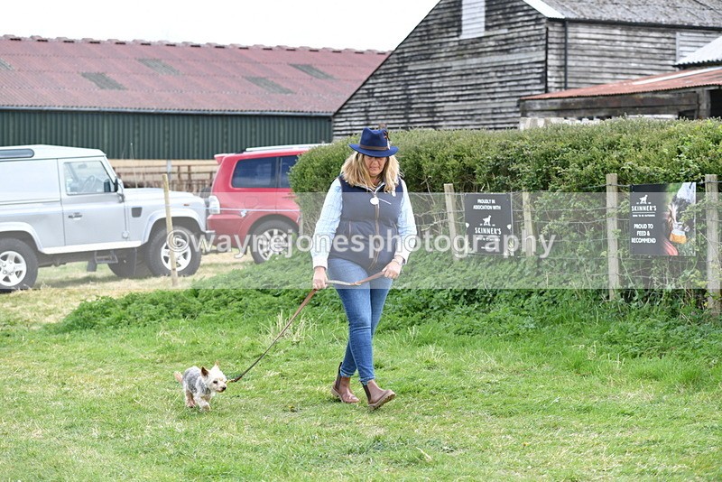 WJ5_0118 - Class 5 Best Veteran / 7 years & over