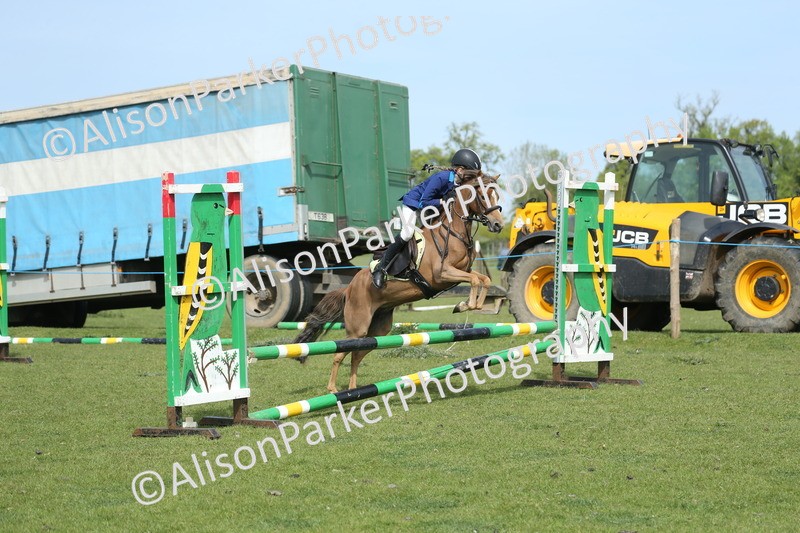 20260426-1577 - Class 14 - Novice 60cm