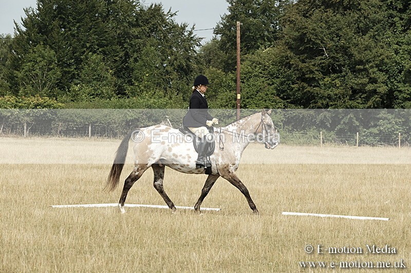 _PJP5713 - Dressage Classes BVRC Show 2018