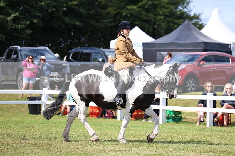 3E7A9683 - Class 5: Rising Star Lightweight/Heavyweight Cobs