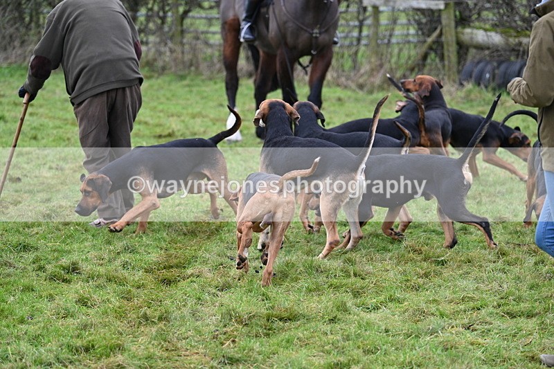 WJ7_6455 - Meet 12.30