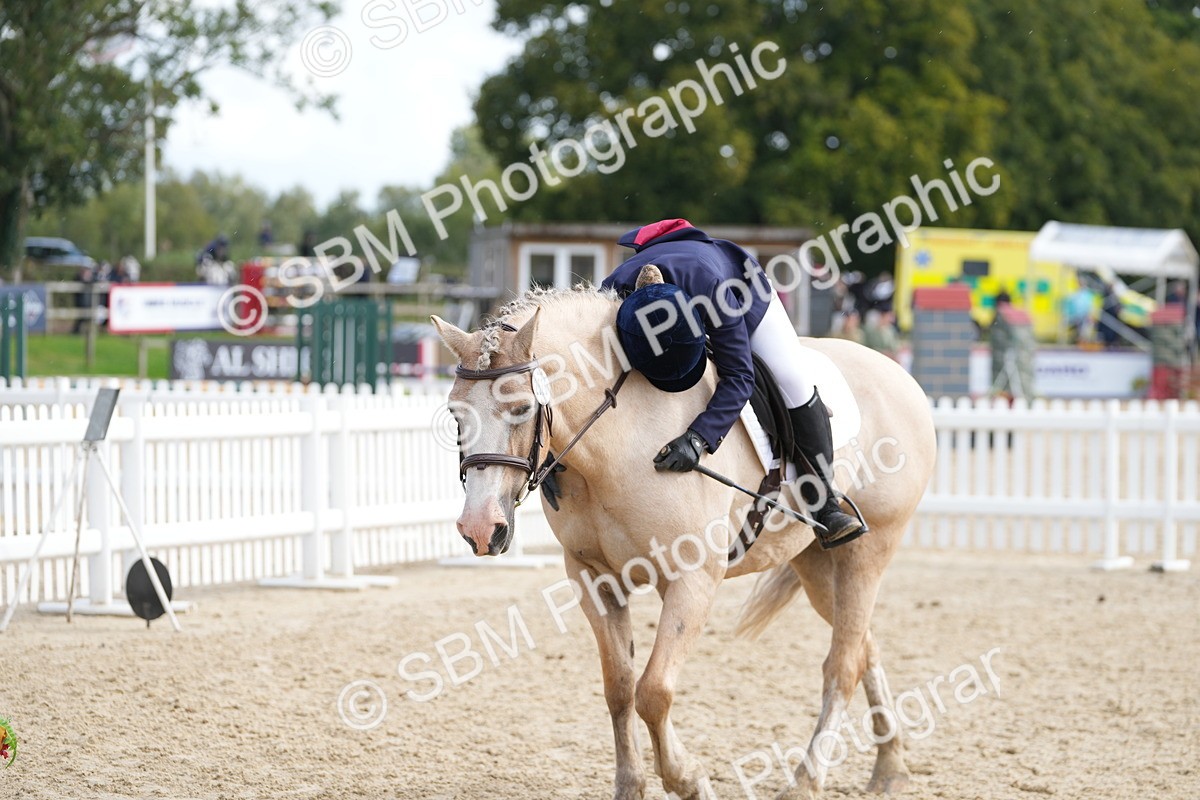 SBM_48514 - J7 - Junior Pony 60cm Championship