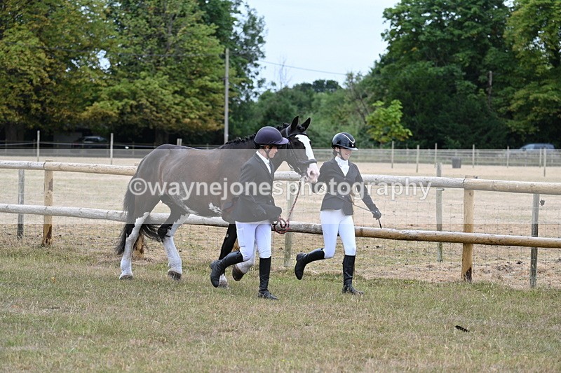 WJ7_8920 - Class 4a Prettiest Mare 14.2hh and over