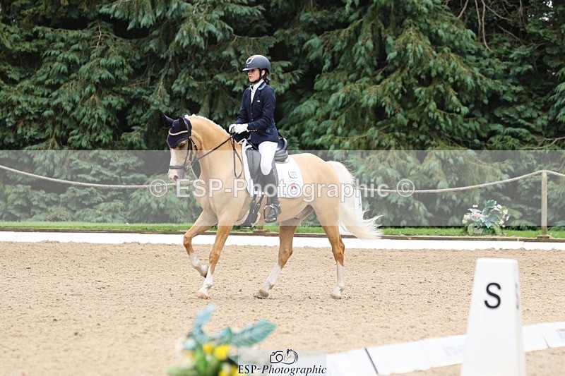 240810-143427-03677 - 301-Sophia.Longworth-Don.Deluxe