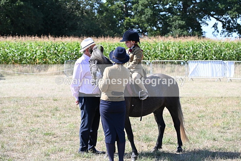 WJ6_7936 - Class 36 Lead Rein