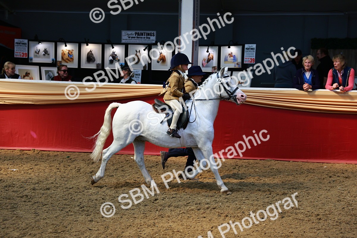 SBM_12810 - HOYS Veteran Qualifier - Ridden Champ