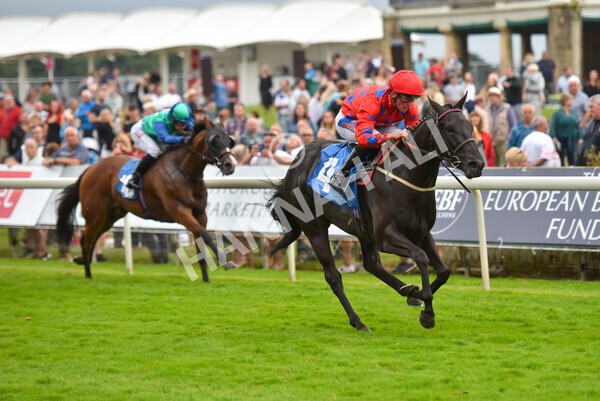 yr23072021r6-20 - Race 6 8.30pm Sky Bet Go-Racing-In-Yorkshire Summer Festival Stakes