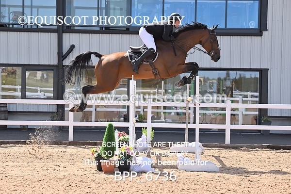 BPP_6736 - CLASS 13 FRI HOYS Talent Seeker Qualifier Inc 7 Year Old Horse Championship Qualifier