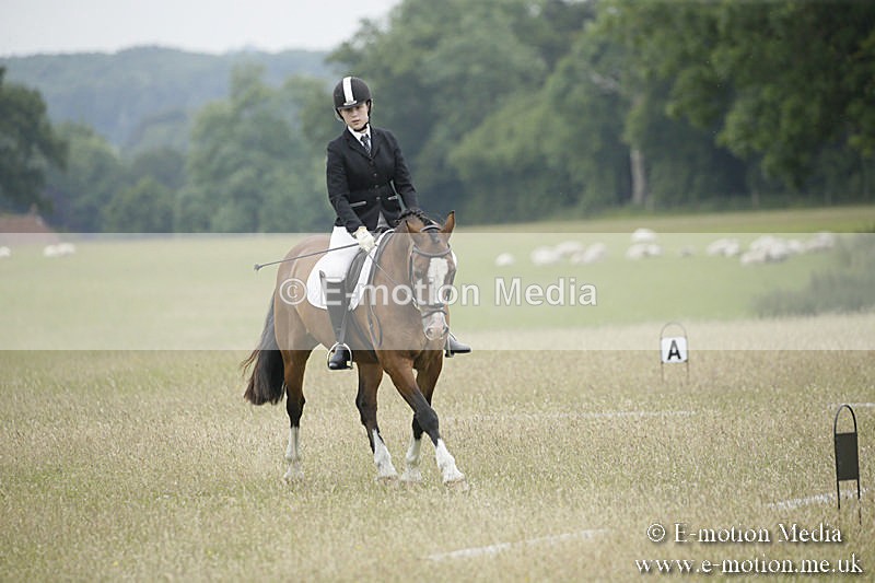 B230619-0666 - Bourne Valley Riding Club Summer Show 23/06/19