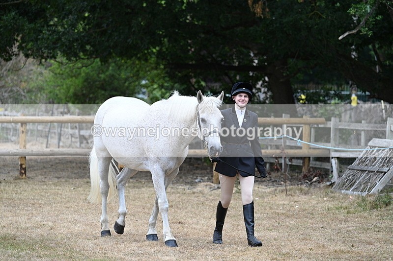 WJ7_8644 - Class 4a Prettiest Mare 14.2hh and over