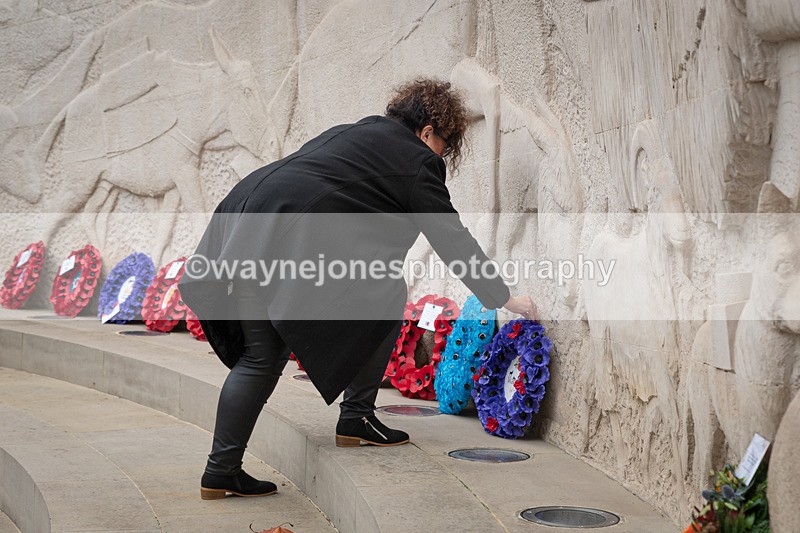 Z62_4625 - Animals In War Memorial 2025 - Park Lane, London