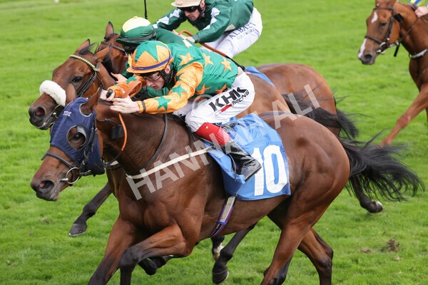 yr24092021r7-31 - Race 7 4.55pm William Hill Free or Four Fillies' Stakes