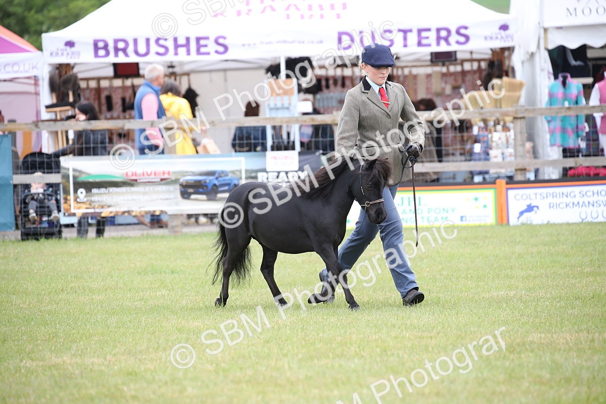 SBM_03959 - Class 23-25 - British Miniature Horse of the Year