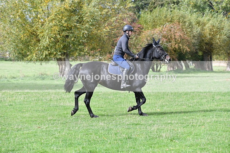 WJ5_9321 - Time 13:03 to 13:25