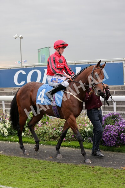 yr09102021r5-7 - Race 5 3.50pm Coral ebfstallions.com Novice Stakes