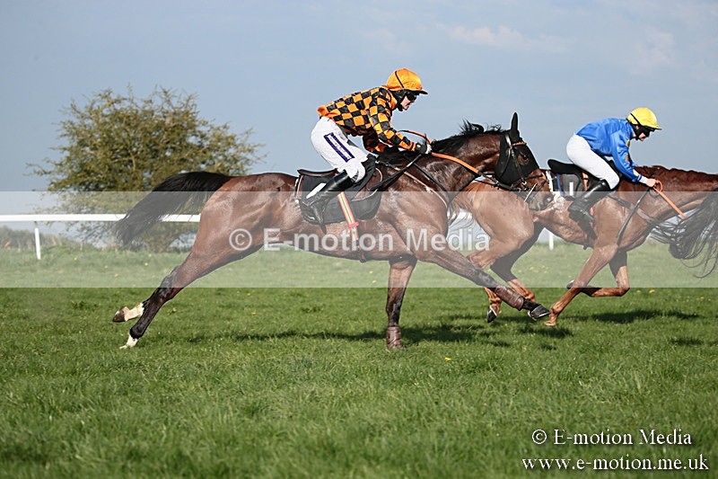 PtP 210418 543 - South & West Wilts Point-to-Point Larkhill 21/04/18
