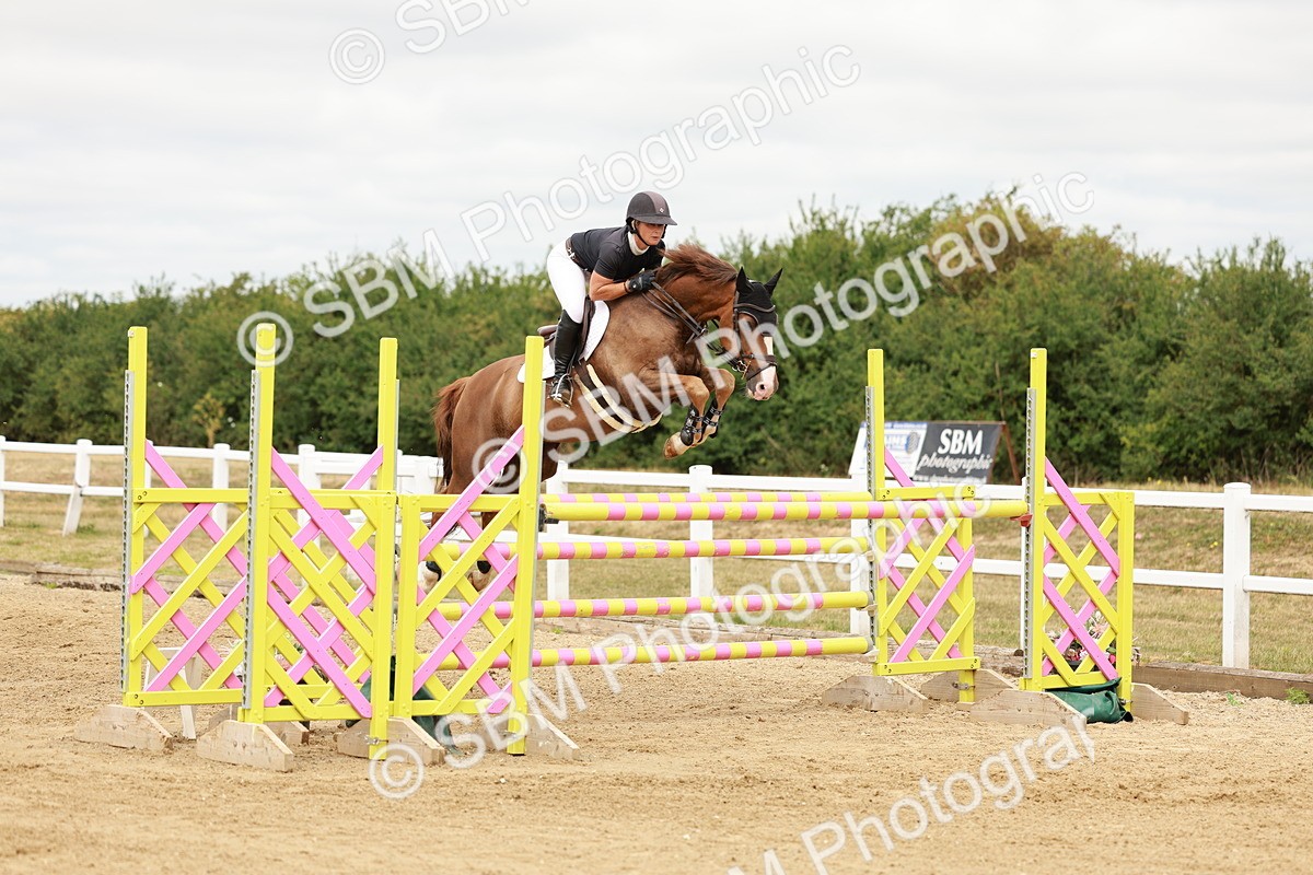 SBM_017485 - Class 21 - Senior Newcomers Championship 2d Rd