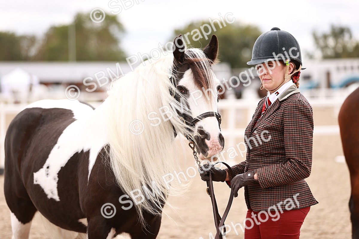SBM_16867 - Class414 - Best maine & Tail - Adult