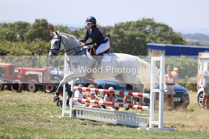 3E7A4405 - Class 10: Senior British Novice/90cm open