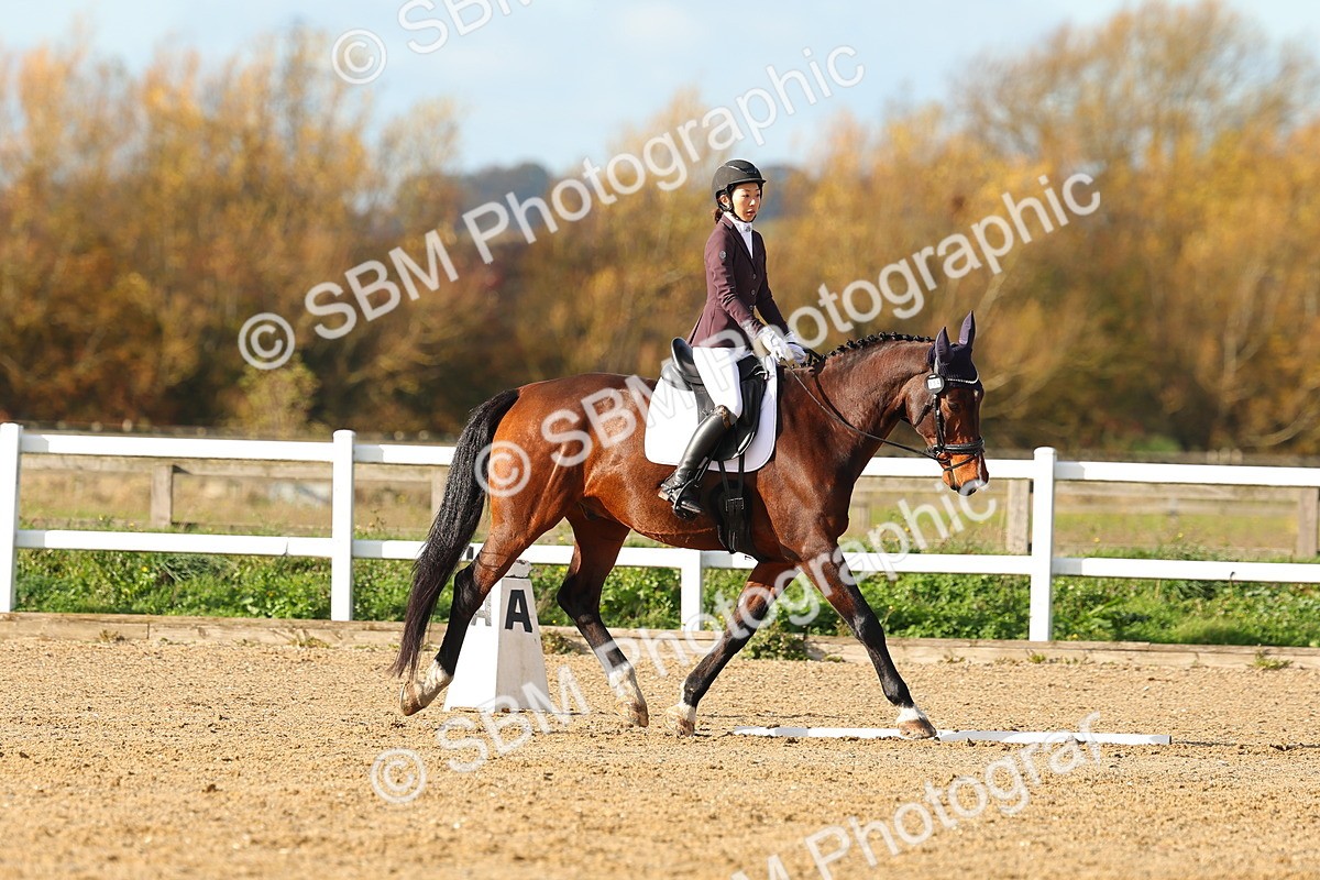 SBM_000863 - Novice 5