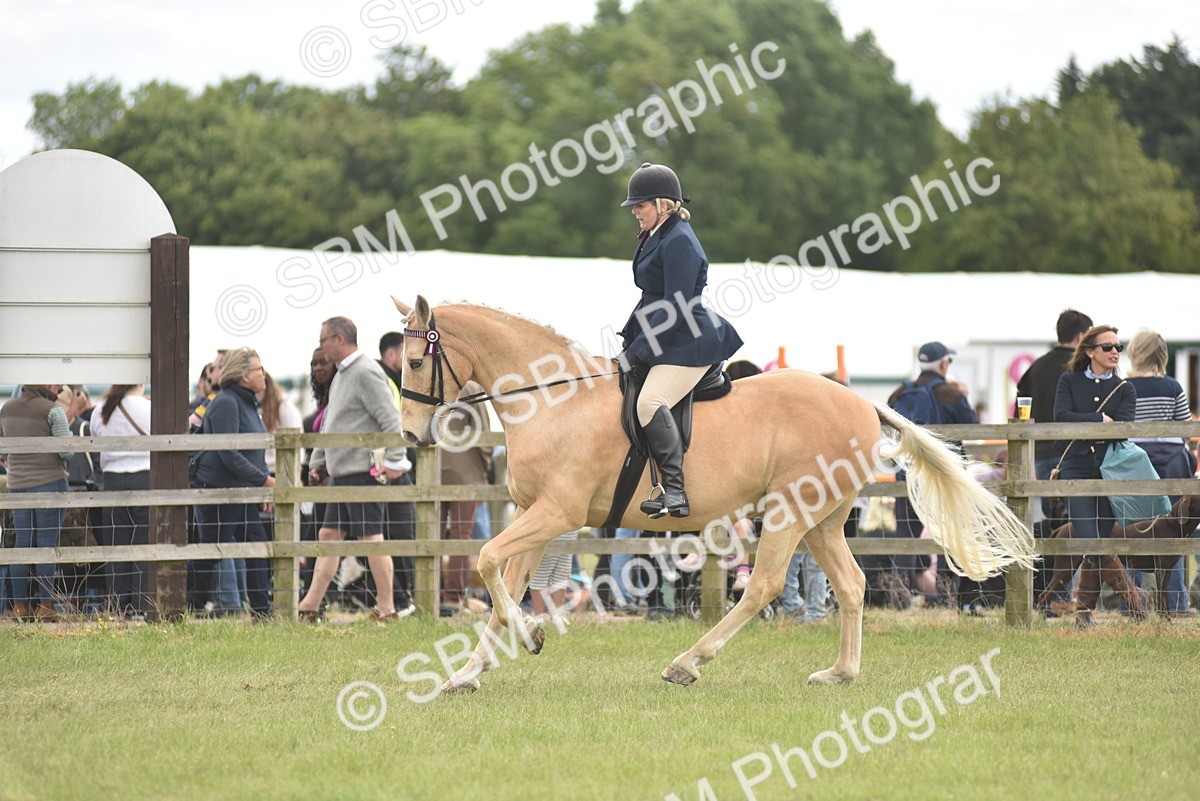 SBM_15936 - Class 117-122 - SSADL RIHS Qualifier