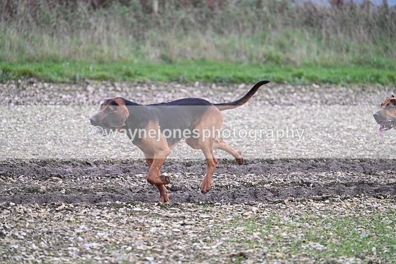 WJ7_0182 - Camera 1 & Last fence
