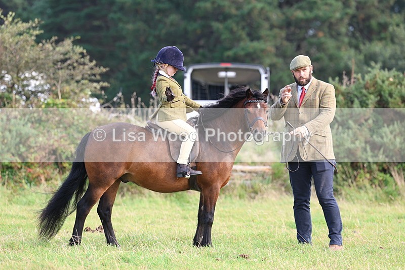 3E7A3563 - Class 2: Lead rein