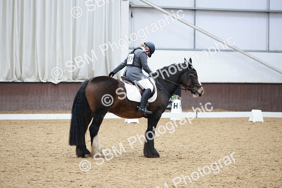 SBM_003860 - Class 2 - Novice 2020