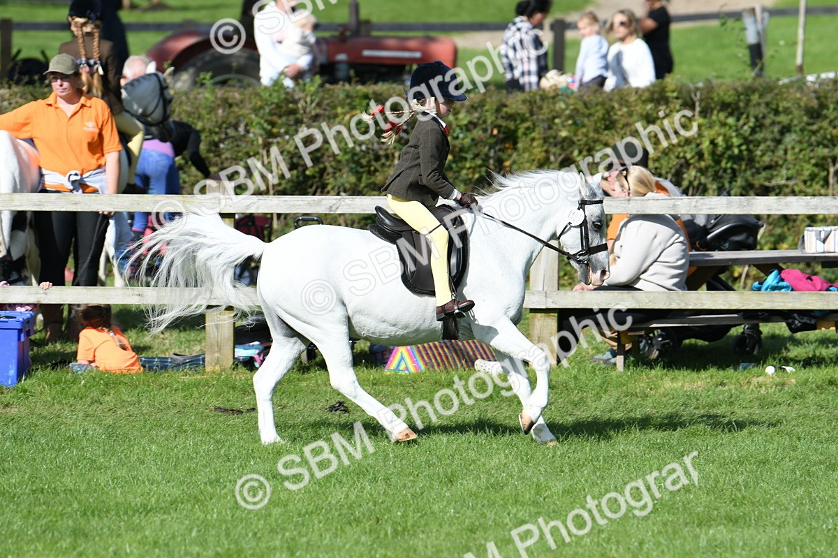 SBM_50304 - S21 - Novice & Newcomers 1st Ridden Pony