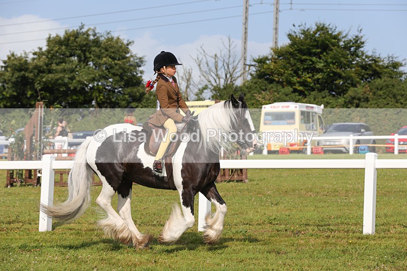 1X9A3223 - Class 28: Ridden Native/Trad Coloured Pony