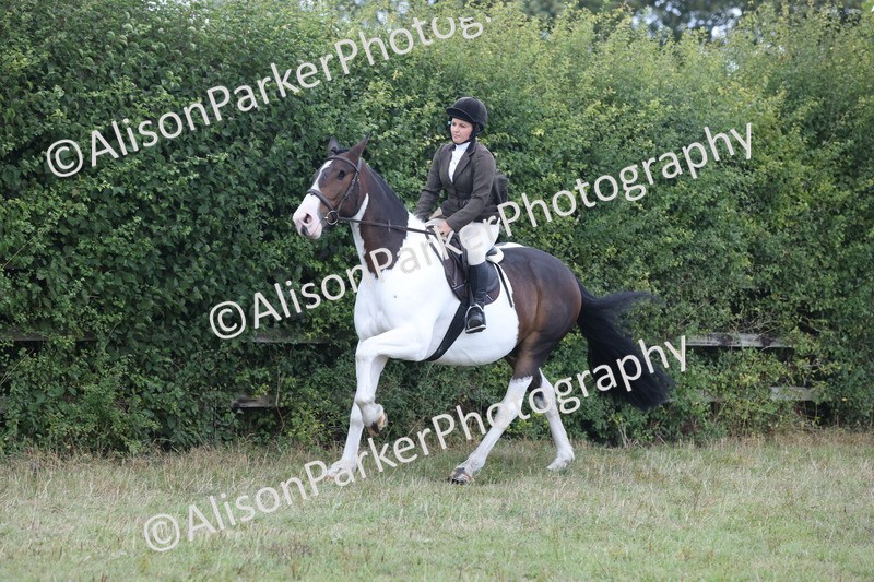 20250831-4271 - Class 20 - Ridden Coloured