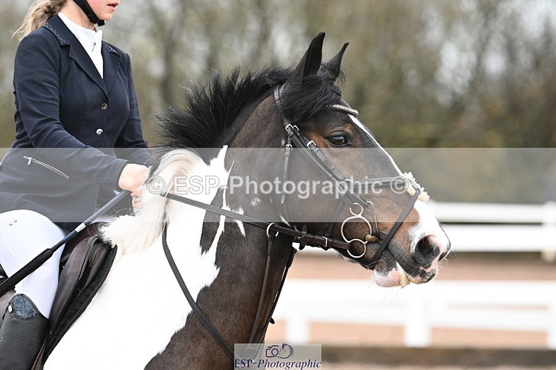231118A-092454-00378 - Cls 2 BlueChip Pony Novice Qualifier