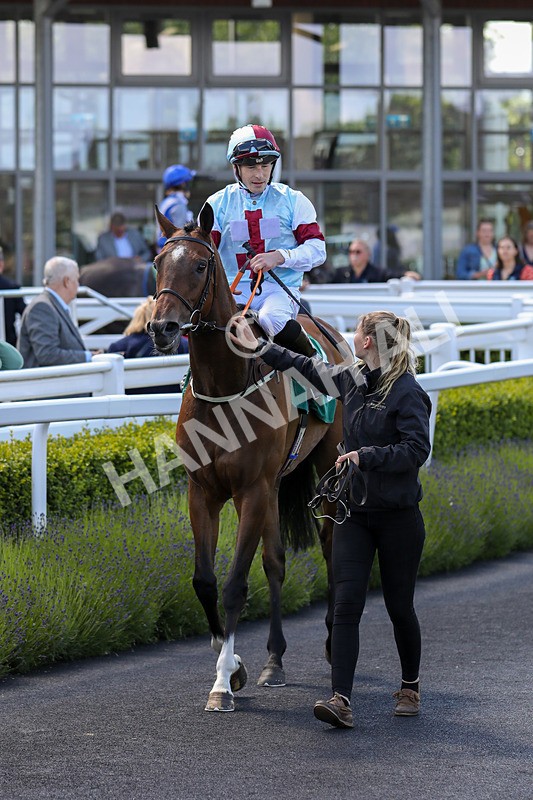 080624-Race 2-Patontheback-4656 - Race 2