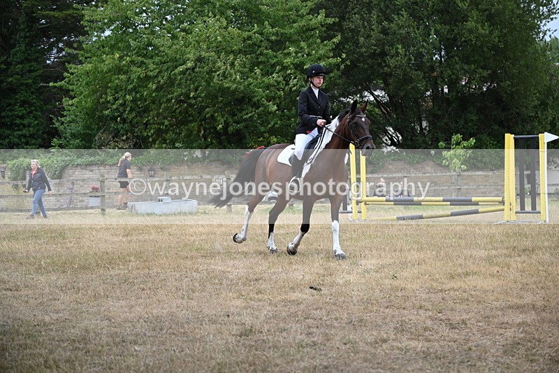 WJ6_0023 - Class 13 Novice Jumping 60cm