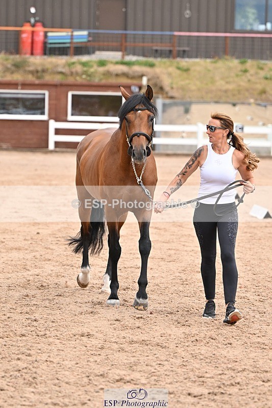 250716-151320-01787 - Trot Up 2.30 to 3.30