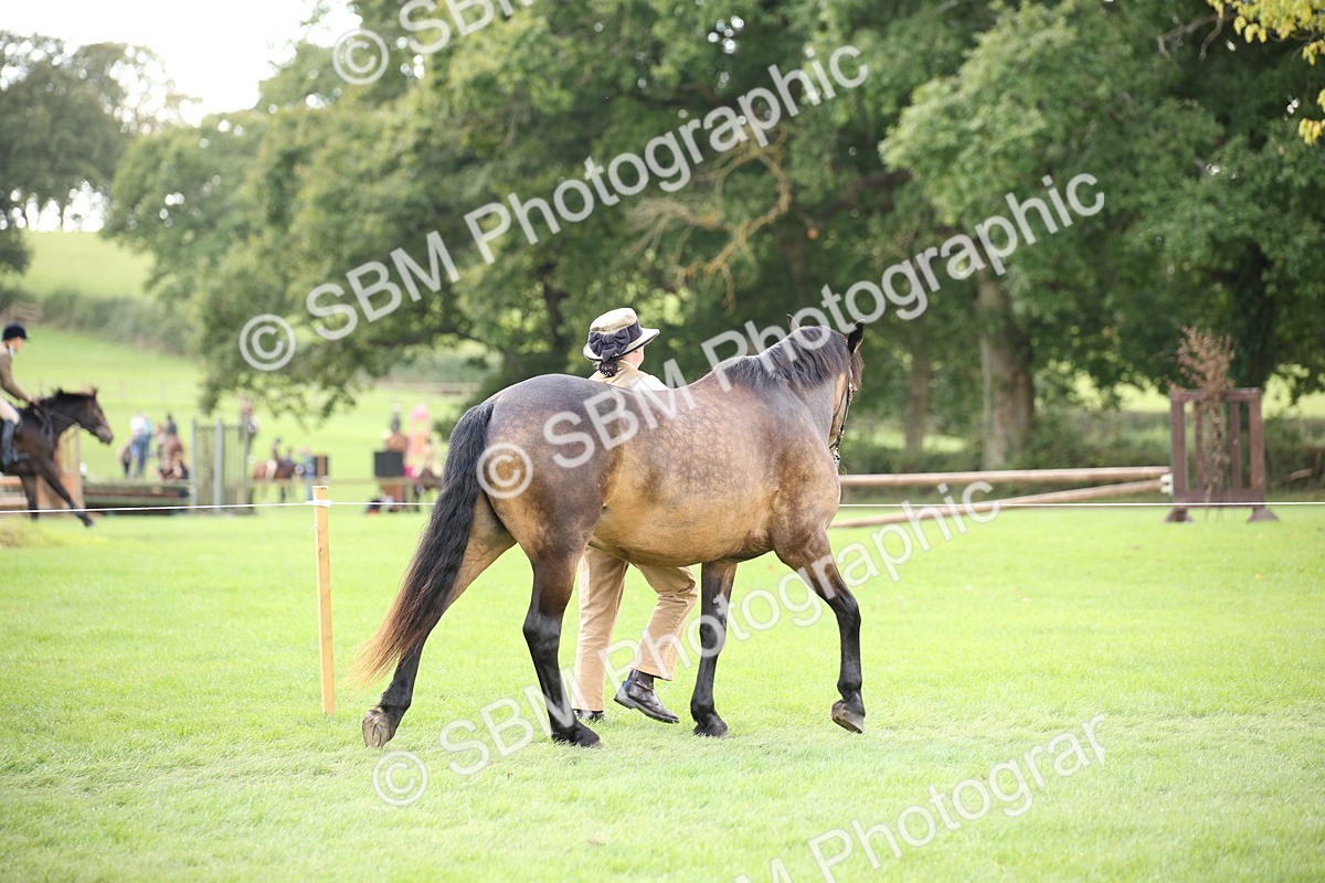 SBM_44362 - S24 - Young Veteran in hand
