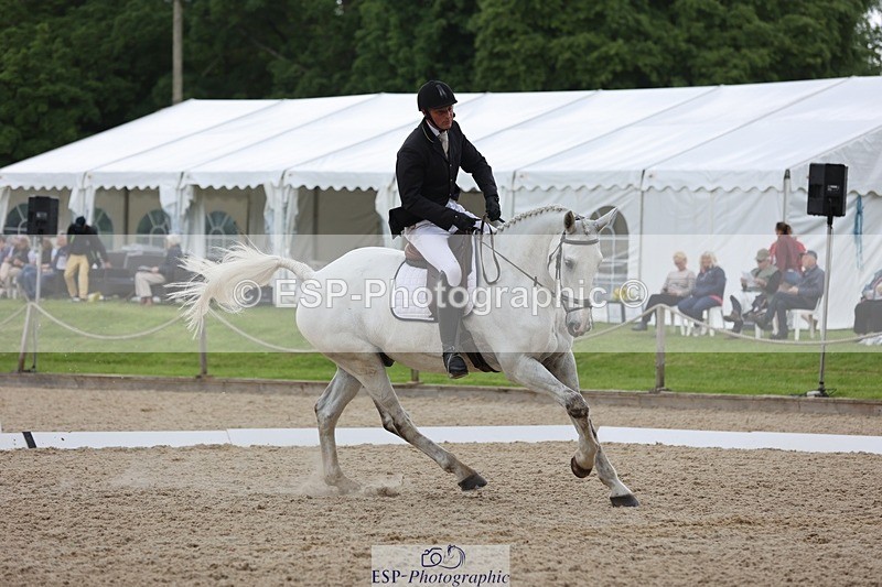 240524-144222-09802 - 285-CHF_BALLYTURN_BRILLIANT-Pascal_Van_moort