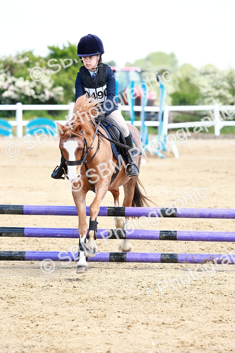 SBM_007735 - Class 3 - 60cm