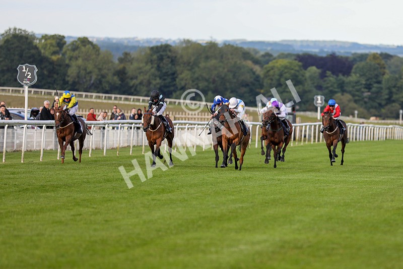 180624-Race 4-Distinction-8012 - Race 4