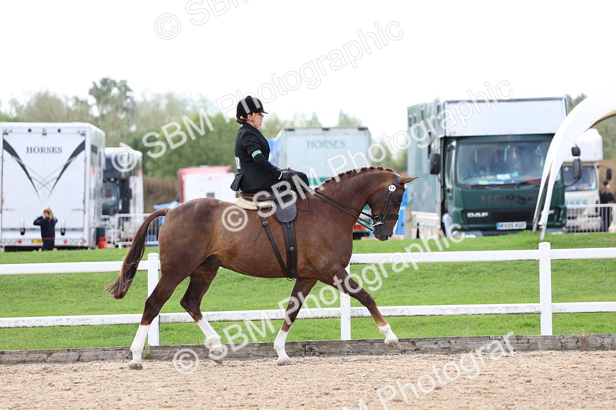 SBM_03181 - Class 22 - SSA Equitation (any age)