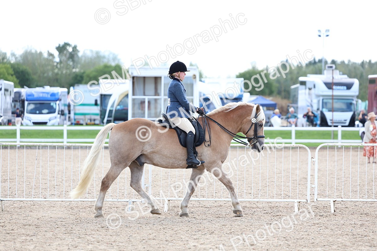 SBM_17075 - Class 315 - Best Horse - Rider Combination