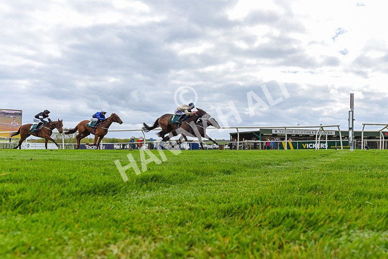 240424-Race 2-Restless Prince-3462 - Race 2