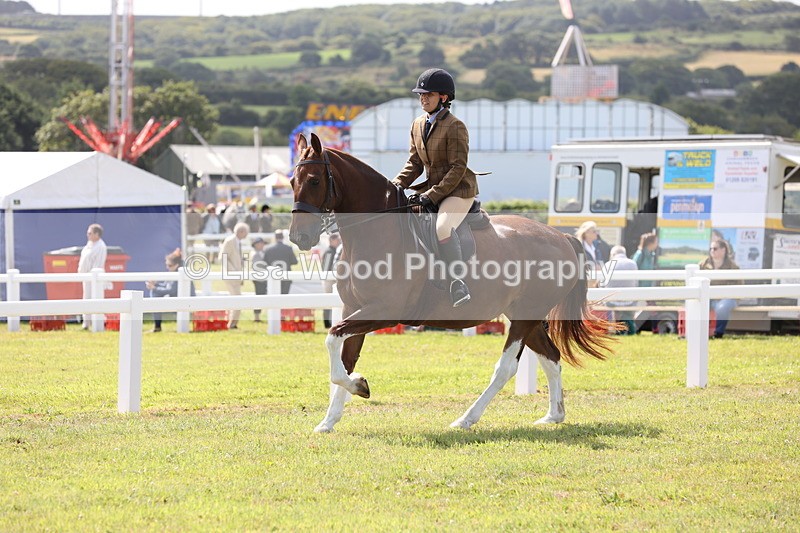 JPP_1383 - Class 17: Cornish Combination Open