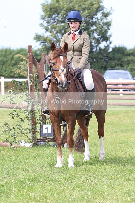 JPP_3880 - Class 23: Working Hunter 80cm