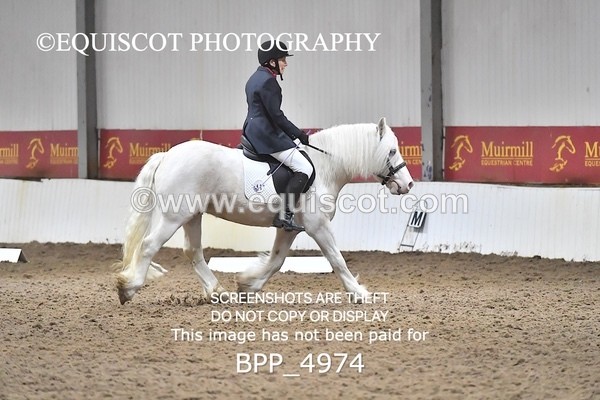 BPP_4974 - INTRO TEST 3