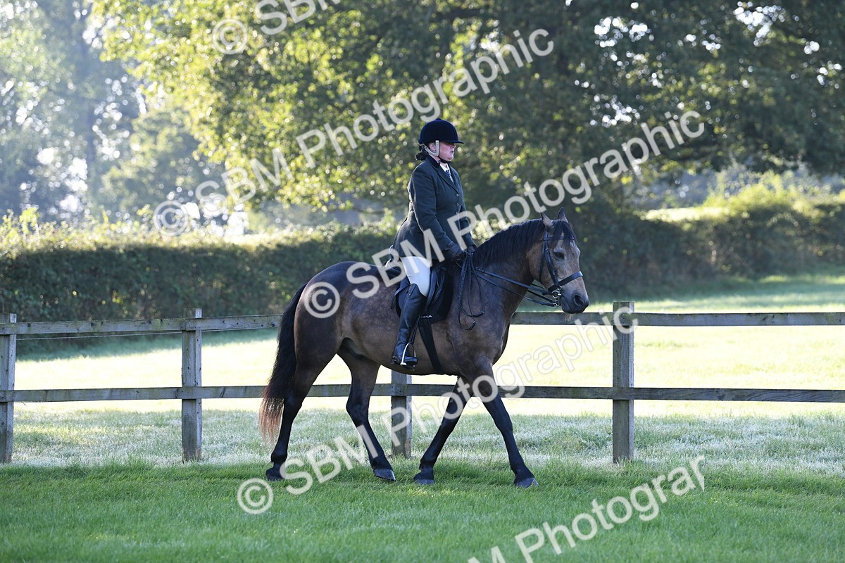 SBM_33989 - S16 - Condition & Turnout - Ridden