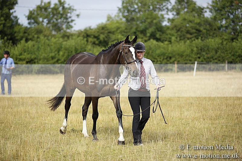 _C7A9139 - BVRC Sow 2018 Ring 2