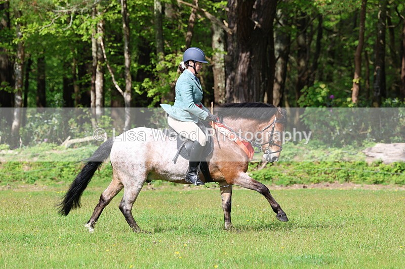 3E7A2774 - Working Hunter Championship