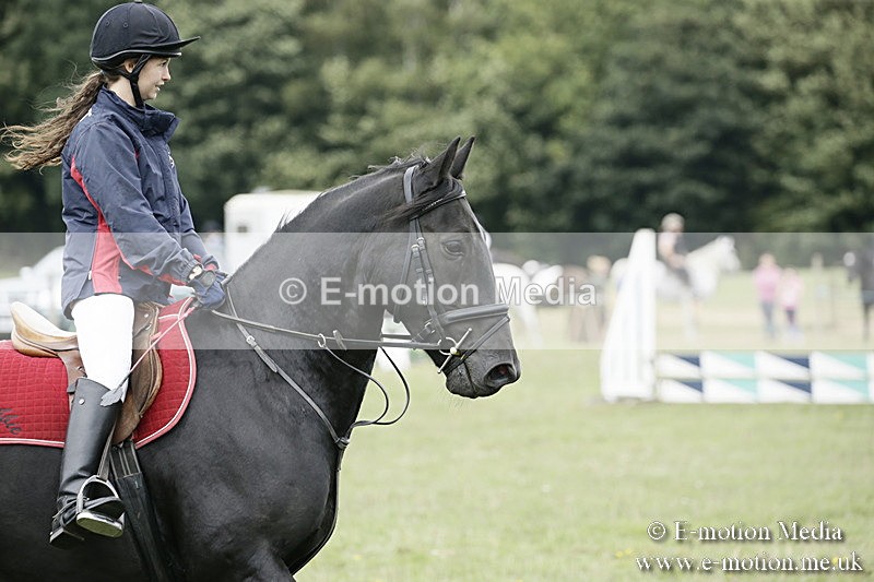 BVR080918 386 - BVRC Novice Dressage & CR 08/09/18