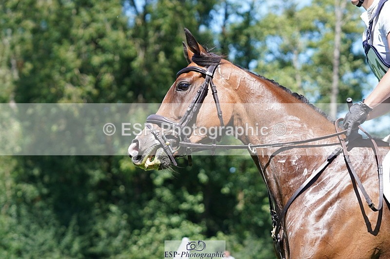 240811A-135004-04082 - 221-